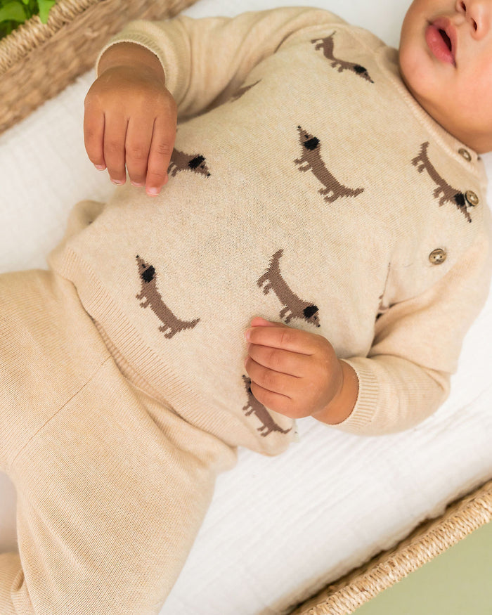 Doxie Dog Jacquard Knit Baby Raglan Pullover Sweater, Organic Cotton