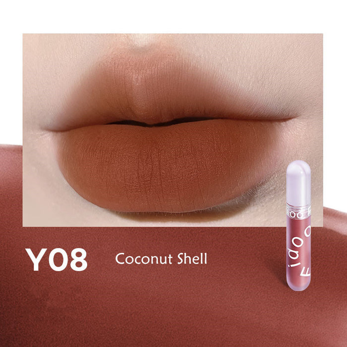 Y08 Coconut Shell