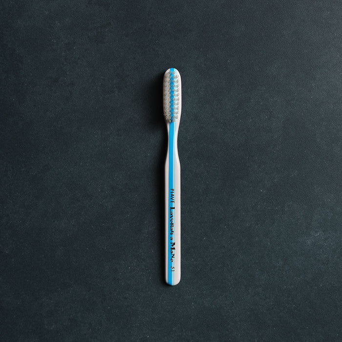 Blue and white Toothbrush with white bristles on a black background