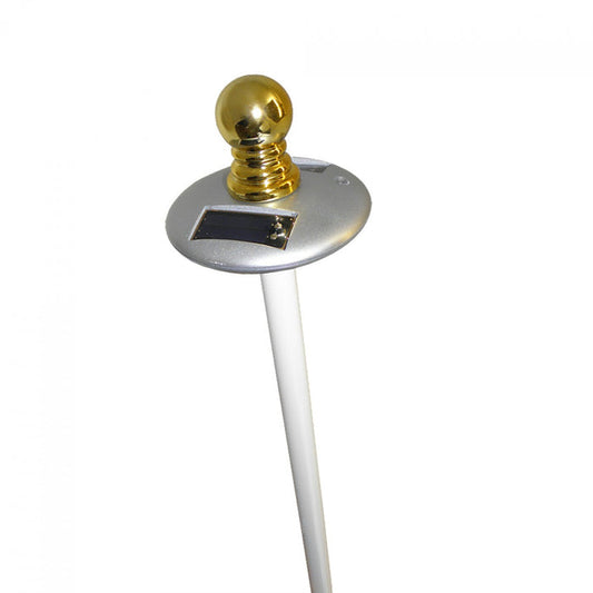 Solar light and flag pole for a house
