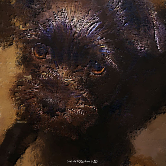 Portrait of an Affenpinsch Puppy