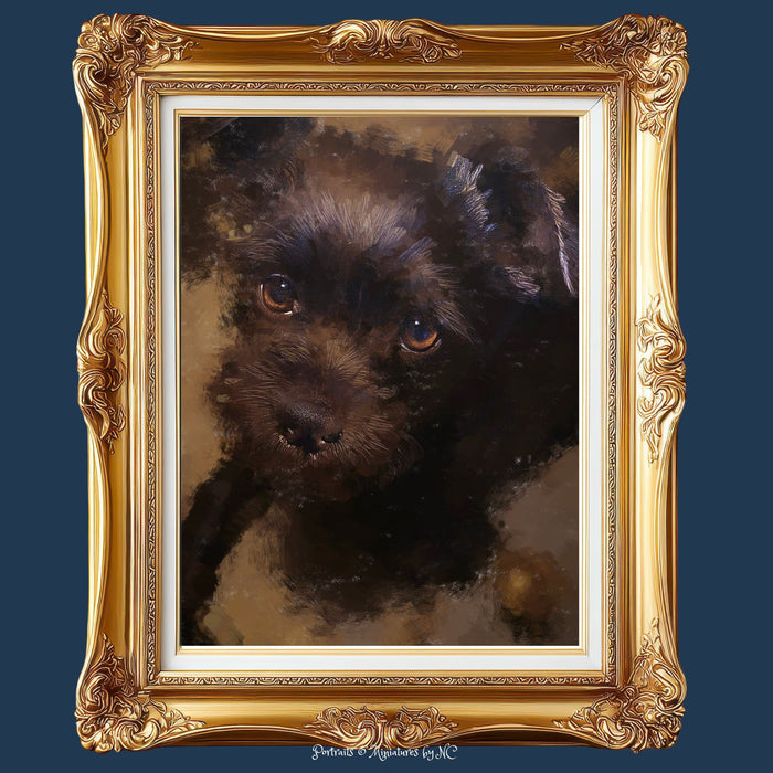 Affenpinscher Puppy - Affenpinscher Portrait Commissioned Art
