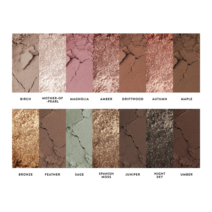 All Day Eye Kit Earthy Essentials - texture