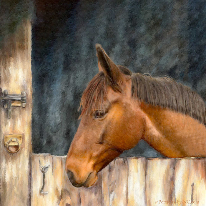 American Quarter Horse Portrait — By Stable Door custom pet portrait, handprinted and digital artwork by artist Enzie Shahmiri