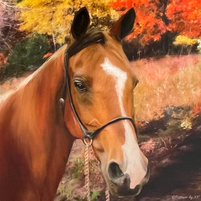 Arabian Horse in Oil