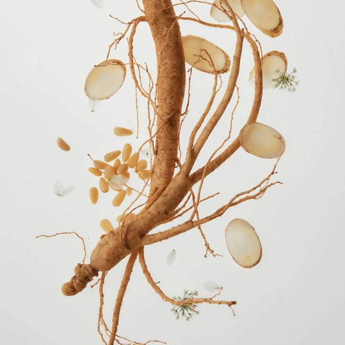Beauty Of Joseon - Slow Aging Trio VGLE Studios