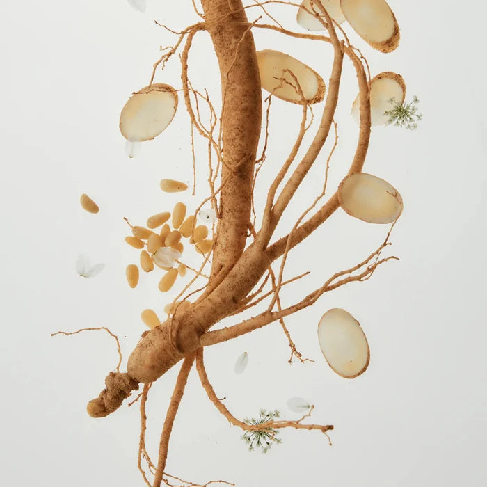 Beauty of Joseon Ginseng Cleansing Oil 210ml Beauty of Joseon