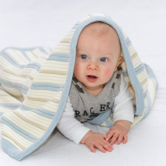 Branberry Striped Garter Knit Bassinet Blanket - Blue