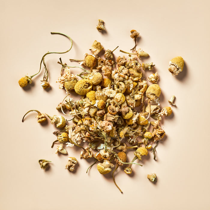 Chamomile Flowers - Botanical