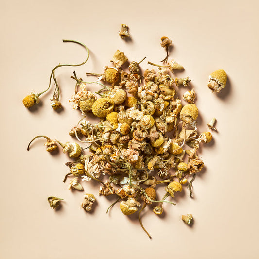 Chamomile Flowers - Botanical