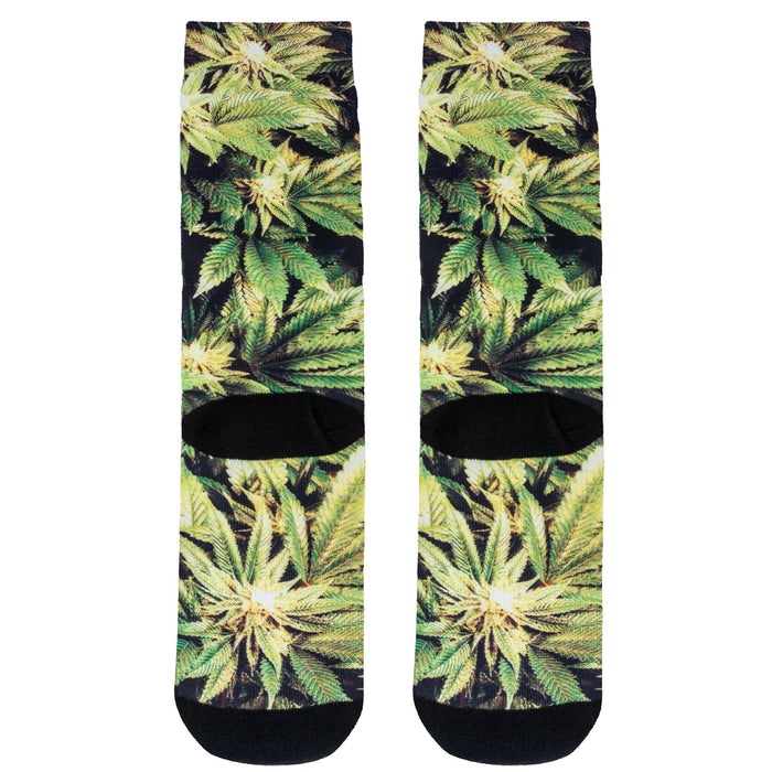 Crazy Socks - Mens Crew - Trees