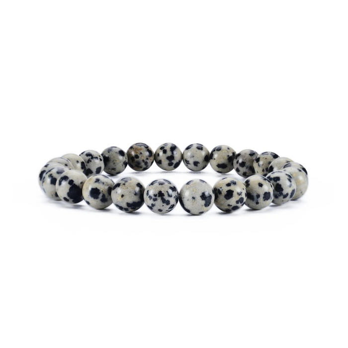 Dalmatian Jasper Bracelet 8mm