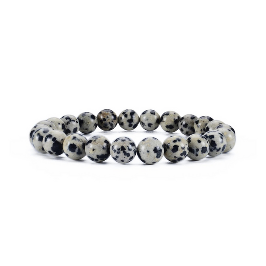 Dalmatian Jasper Bracelet 8mm