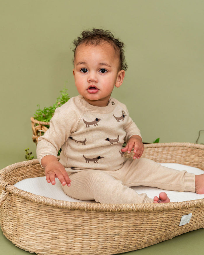 Doxie Dog Jacquard Knit Baby Raglan Pullover Sweater, Organic Cotton