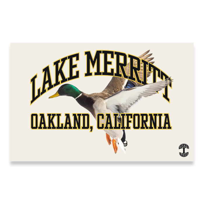 The Duck School Poster by Oaklandish features a vintage-style flying mallard illustration with bold "Lake Merritt" text and "Oakland, California" below. The cream background highlights the design, complemented by an anchor logo in the bottom right adding school nostalgia.
