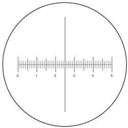 Eyepiece Reticle for Bausch & Lomb Microscope - Microscope Central
