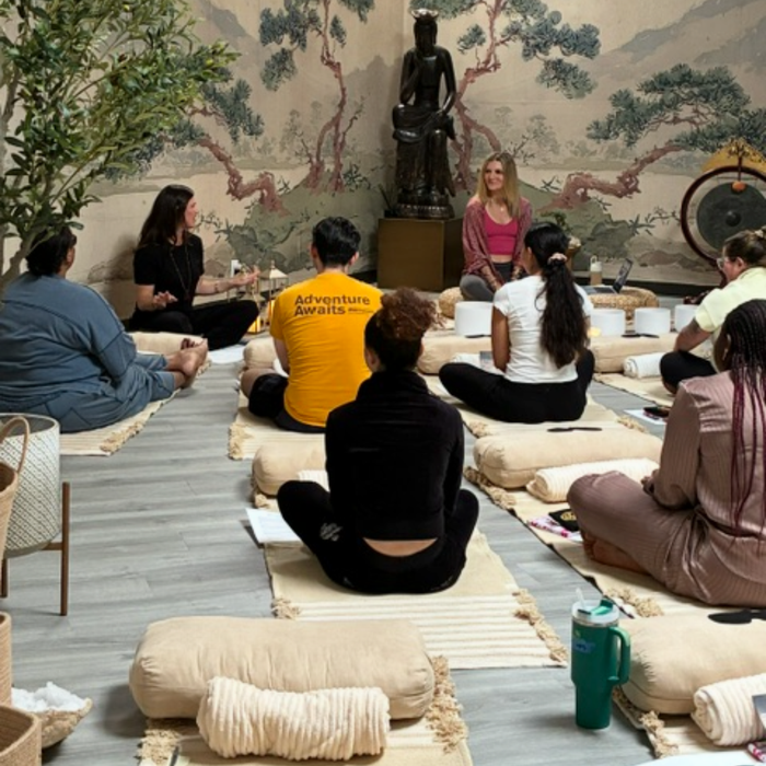 Participants gather for an intimate astrological day retreat with meditation cushions artwork and guided wellness discussion at BuDhaGirl Wellness Collective