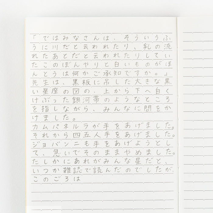 Lined notebook paper with writing against light background