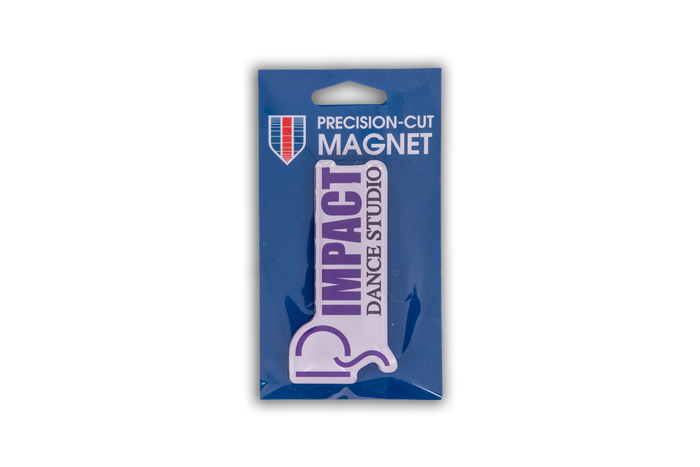 IDS  Acrylic Small Magnet