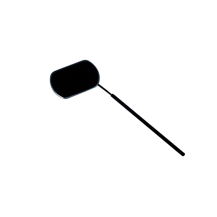 Lash Mirror The Lash Professional