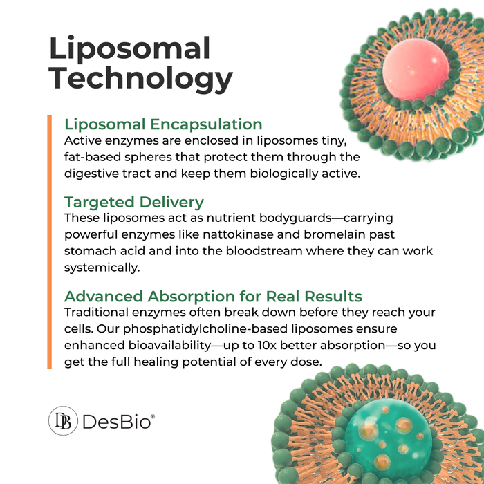 TransZyme uses liposomal delivery to help your body absorb enzymes 3–10× more effectively.
