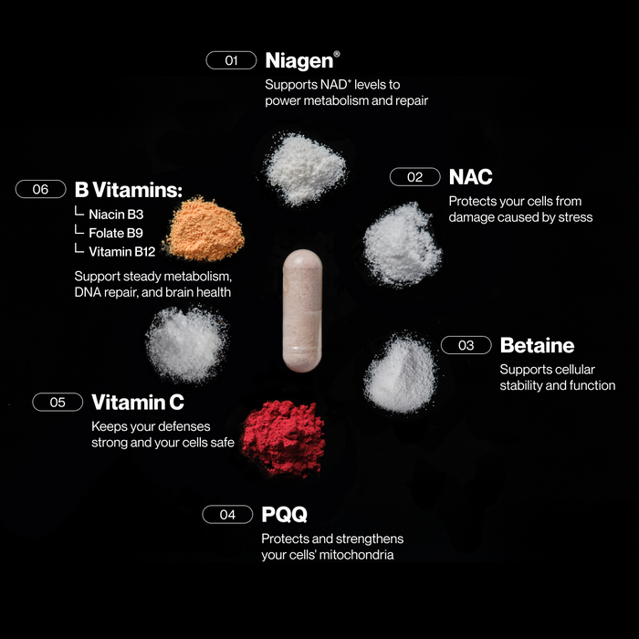 Diagram of Momentous Longevity capsule surrounded by its key ingredients, including Niagen for metabolism and repair, NAC for cell protection, Betaine for cellular stability, PQQ for mitochondrial support, Vitamin C for immune defense, and B vitamins (B3, B9, B12) for metabolism, DNA repair, and brain health.