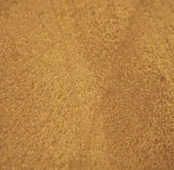 Bright Gold