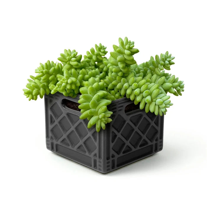 Milk Crate Planter