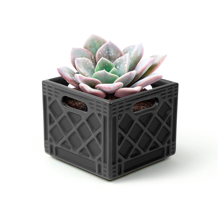 Milk Crate Planter