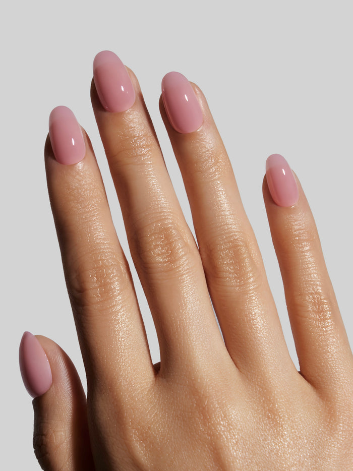 Misty Rose (Short Round)