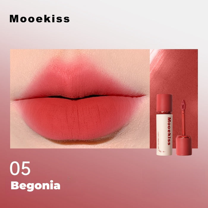 #05 Begonia