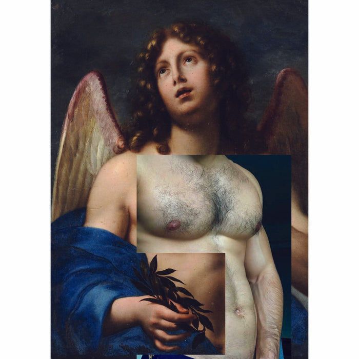 Naro Pinosa Winged Angel Hairy Pecs postcard