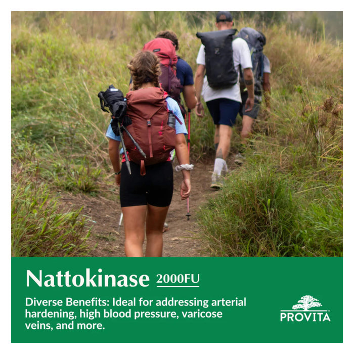 Provita Nattokinase Information