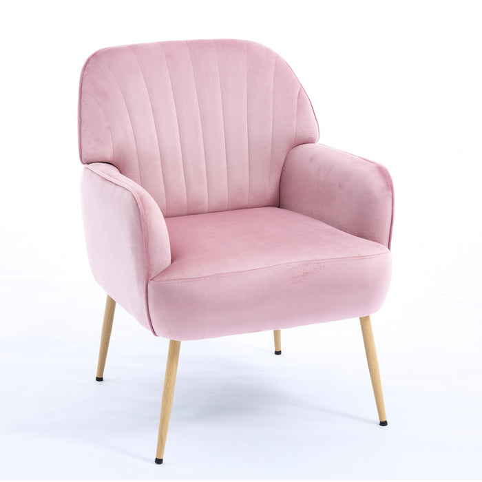 Pink Velvet Salon Accent Chair with Shell Backrest and Metal Legs