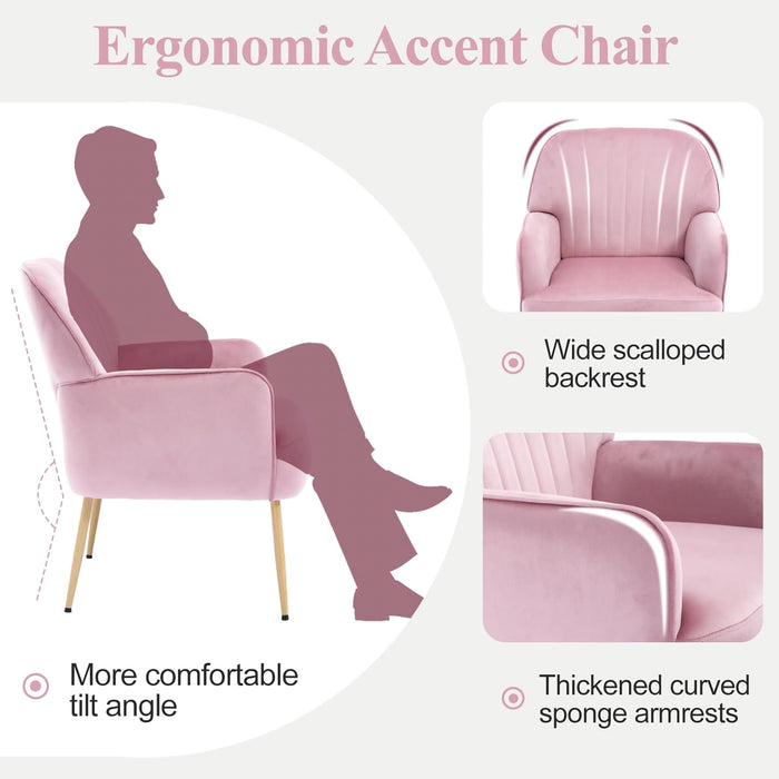Pink Velvet Salon Accent Chair with Shell Backrest and Metal Legs