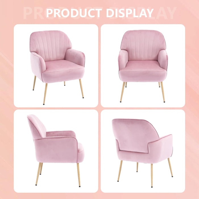Pink Velvet Salon Accent Chair with Shell Backrest and Metal Legs