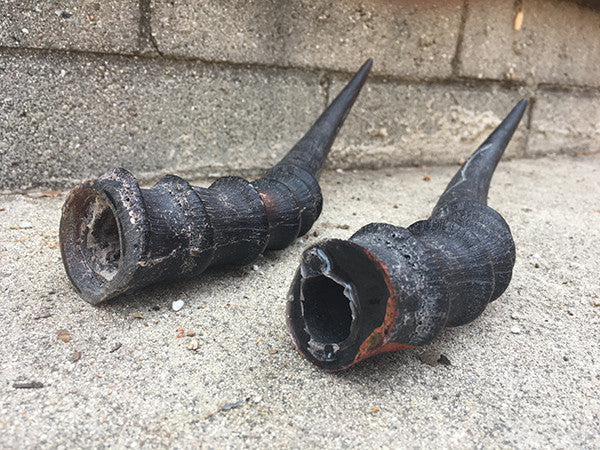 PROP CAST HORNS