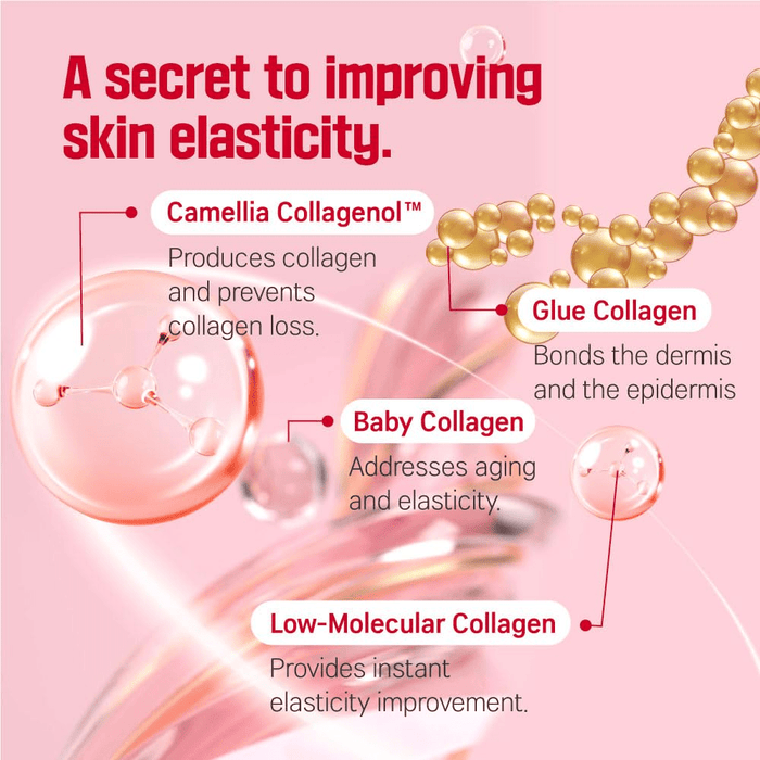 Round Lab Camellia Deep Collagen Firming Cream 50ml كريم راوند لاب كاميليا ديب كولاجين لشد البشرة - Princess Cosmetics Qatar