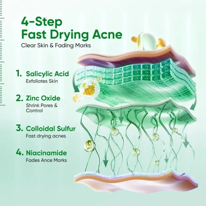 Skintific Acne Drying Lotion 10ml لوشن سكينتيفيك لتجفيف حب الشباب - Princess Cosmetics Qatar