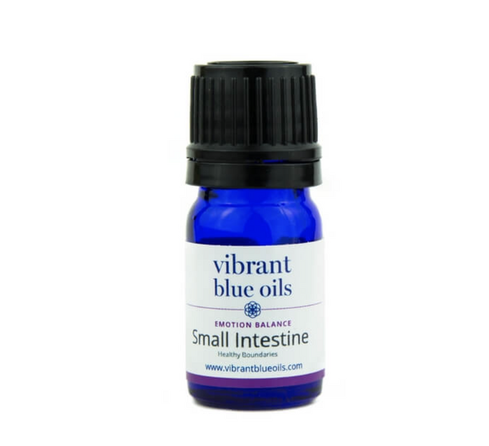Small Intestine Support 5 ML by Vibrant Blue Oils