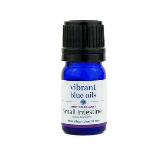 Small Intestine Support 5 ML by Vibrant Blue Oils