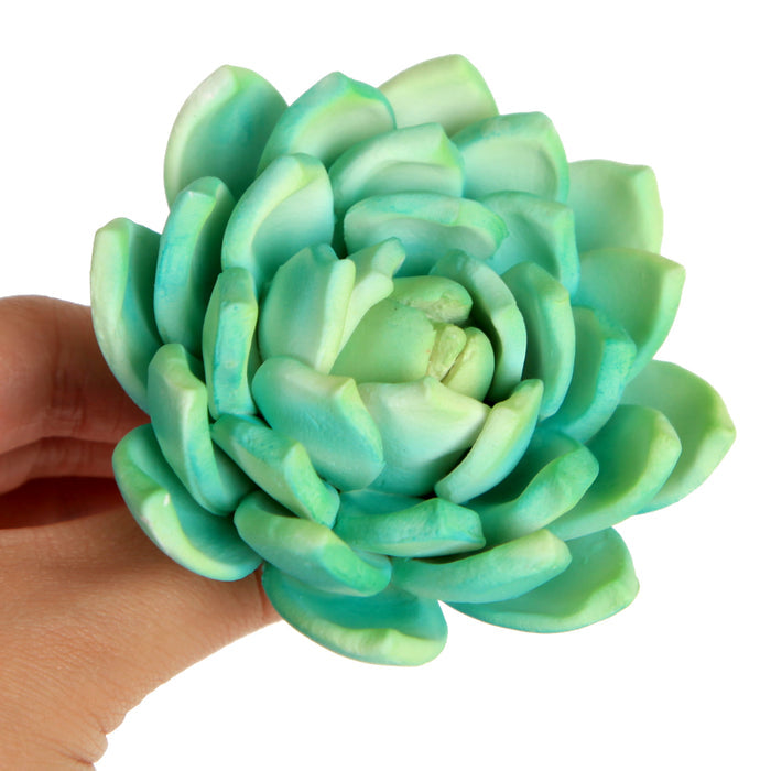 Gumpaste Succulent Sugarflower cake topper perfect for cake decorating fondant cakes & wedding cakes. | CaljavaOnline.com