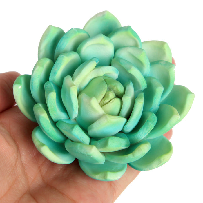 Gumpaste Succulent Sugarflower cake topper perfect for cake decorating fondant cakes & wedding cakes. | CaljavaOnline.com
