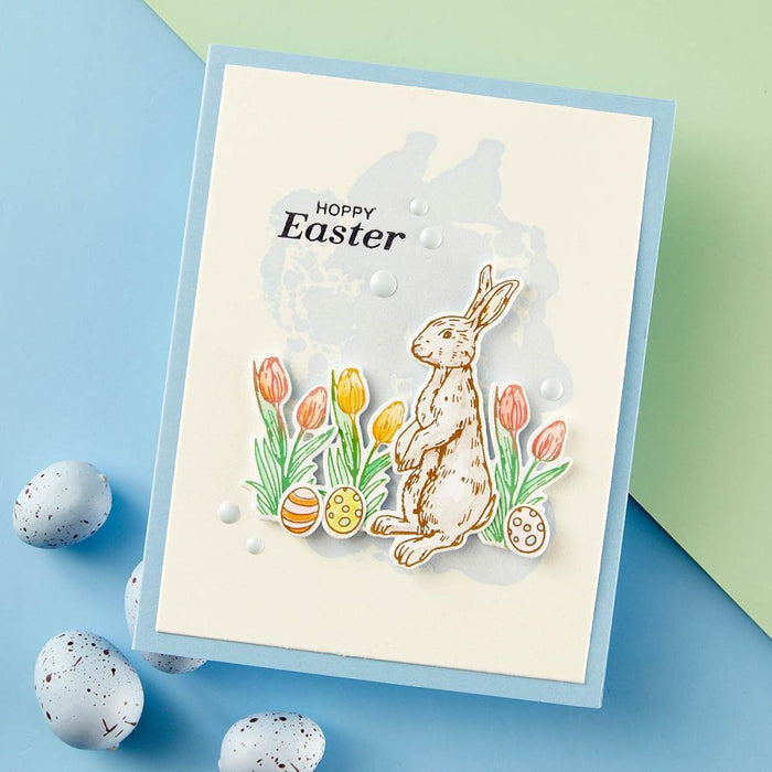 Spellbinders - Press Plate &amp; Die By Simon Hurley - Spring Bunnies - Spring Sampler. Spring Bunnies Press Plate &amp; Die Set is part of the Spring Sampler Collection by Simon Hurley. Available at Embellish Away located in Bowmanville Ontario Canada. Example by brand ambassador.