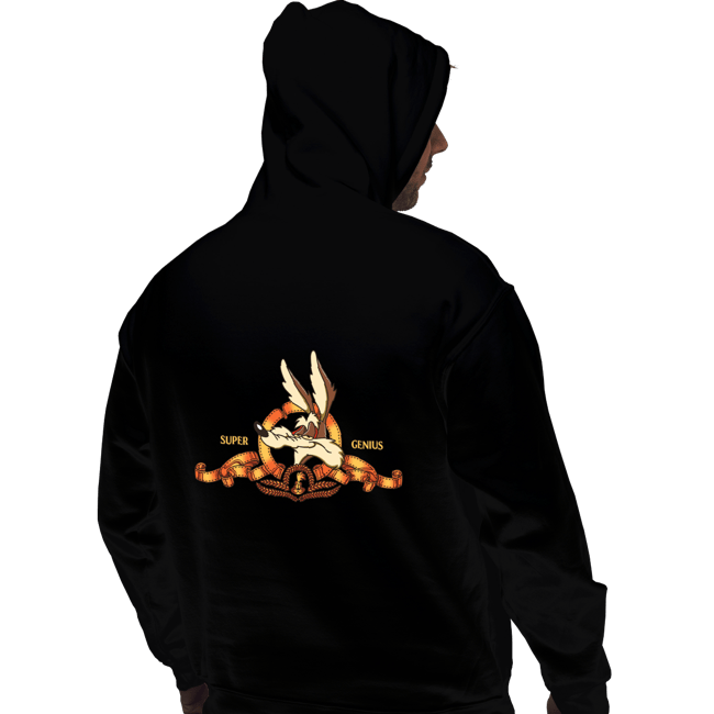 Pullover Hoodies, Unisex / Small / Black