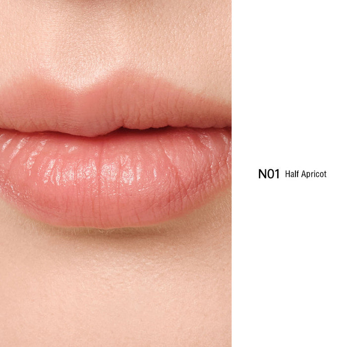 TAASHEE Moisturizing Nude Matte Lip Glaze T4257