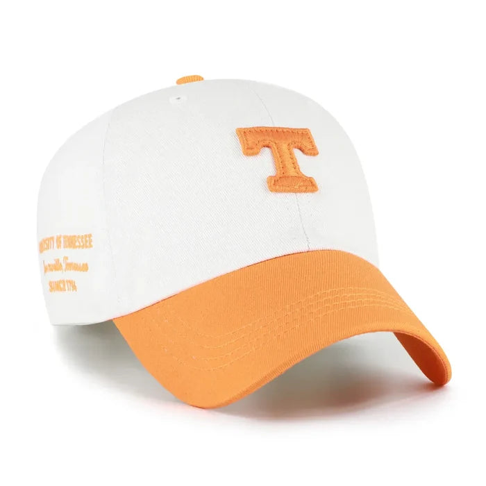 Tennessee Volunteers Sandstone Contemporary Clean Up