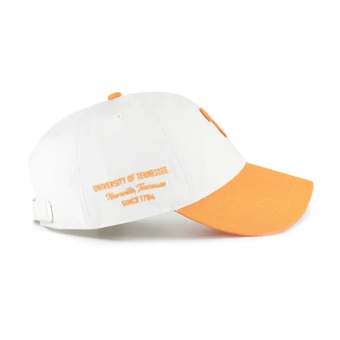 Tennessee Volunteers Sandstone Contemporary Clean Up