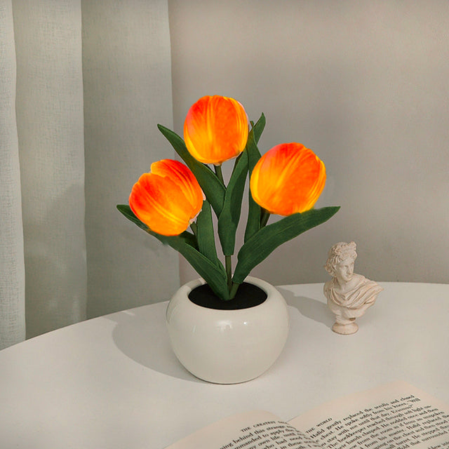 Orange Tulip