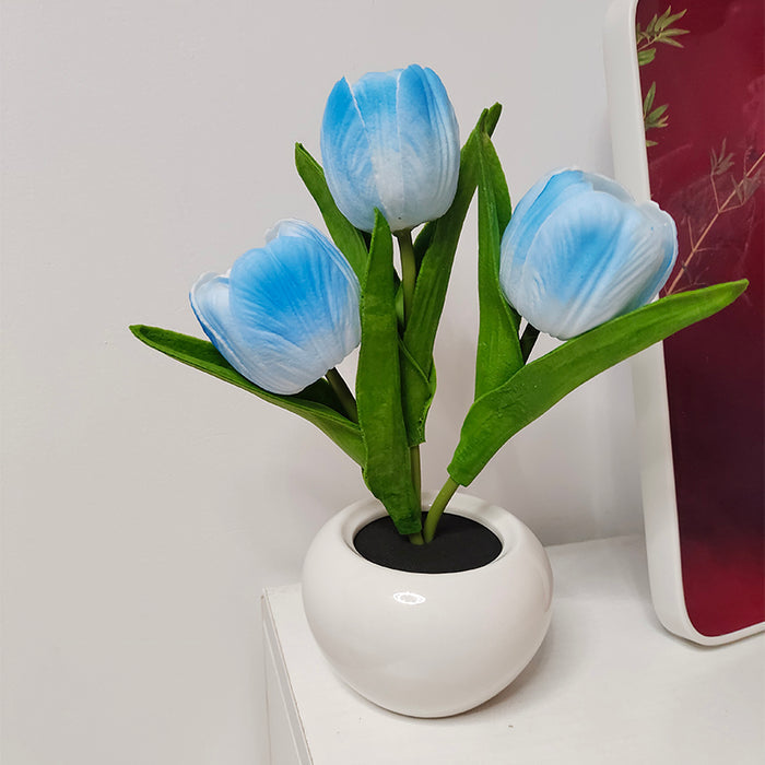 Blue Tulip
